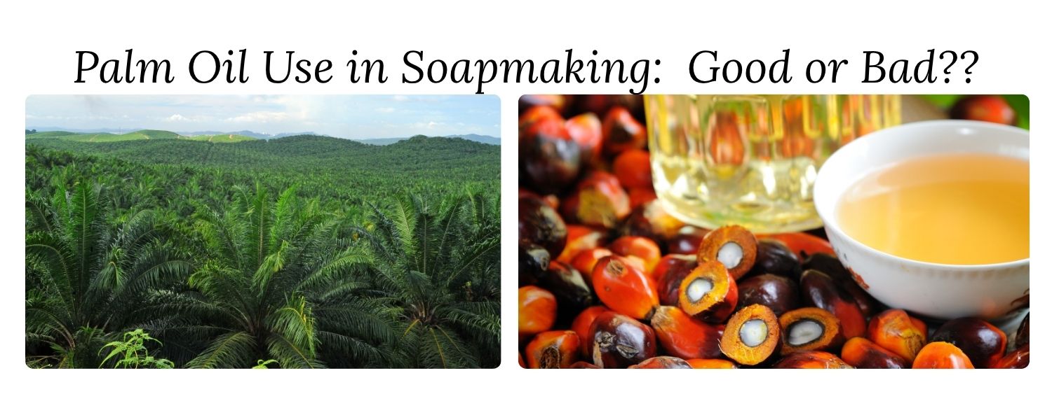 Palm tree field, palm fruit and palm oil.