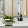Greenhouse Coconut Milk Soap