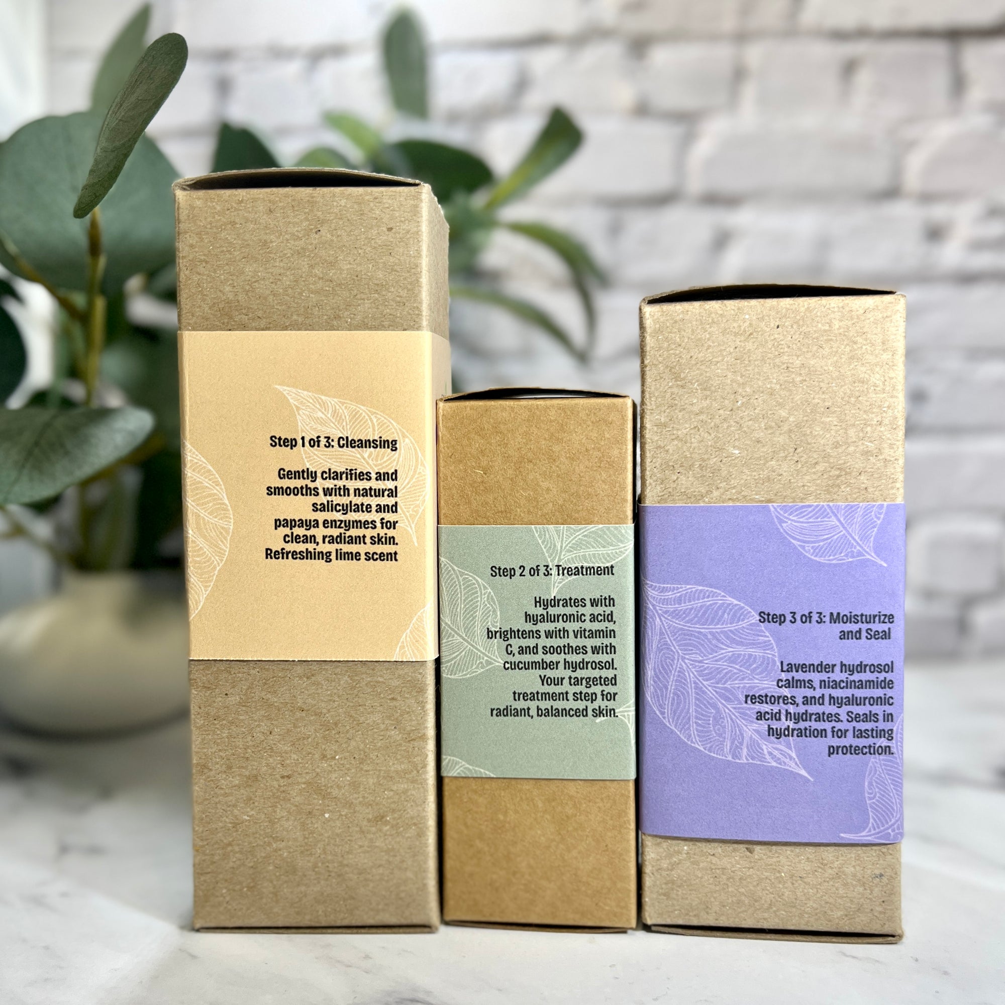 Three cardboard boxes with text on a marble surface with a plant in the background