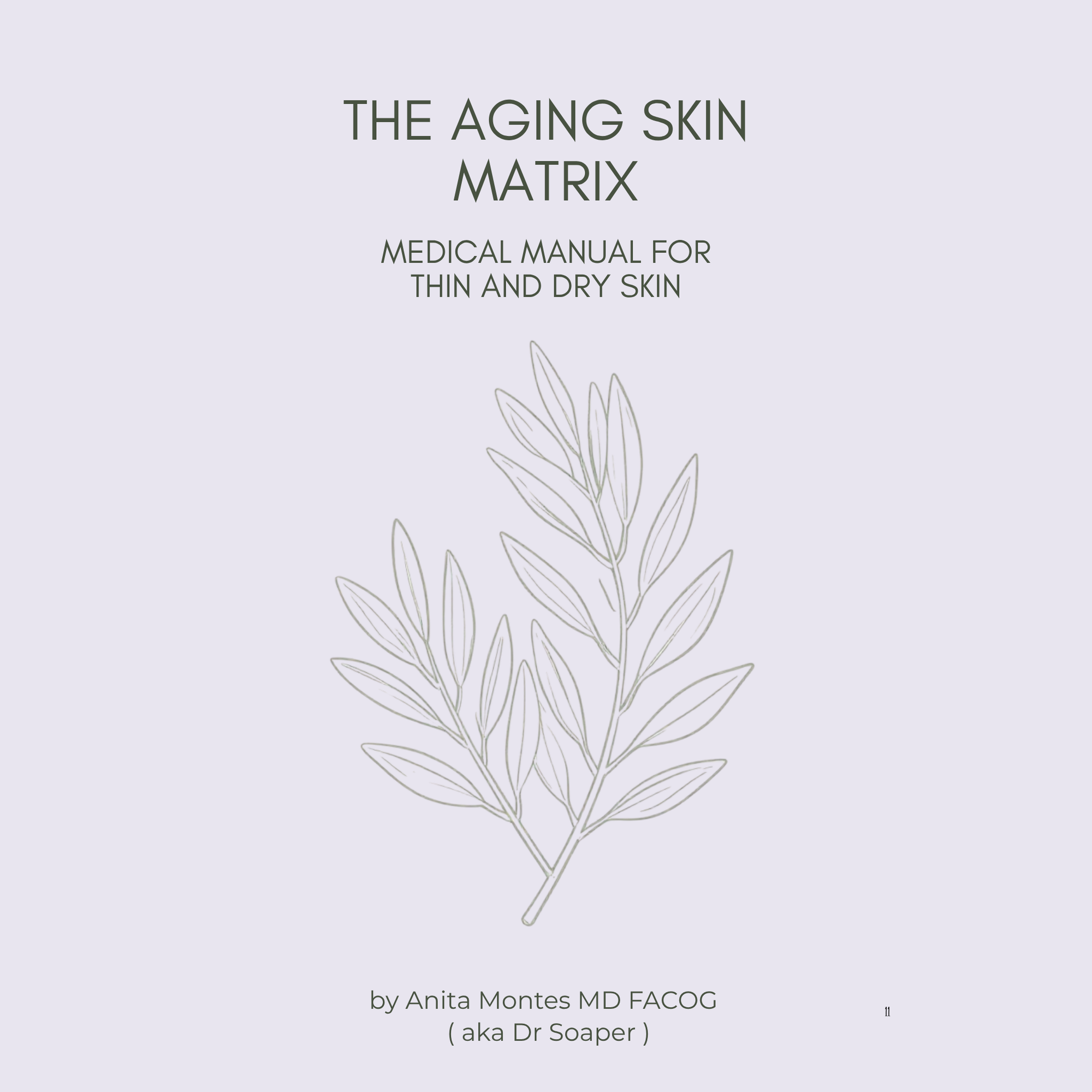 Book cover of 'The Aging Skin Matrix' with a minimalist design on a light gray background.