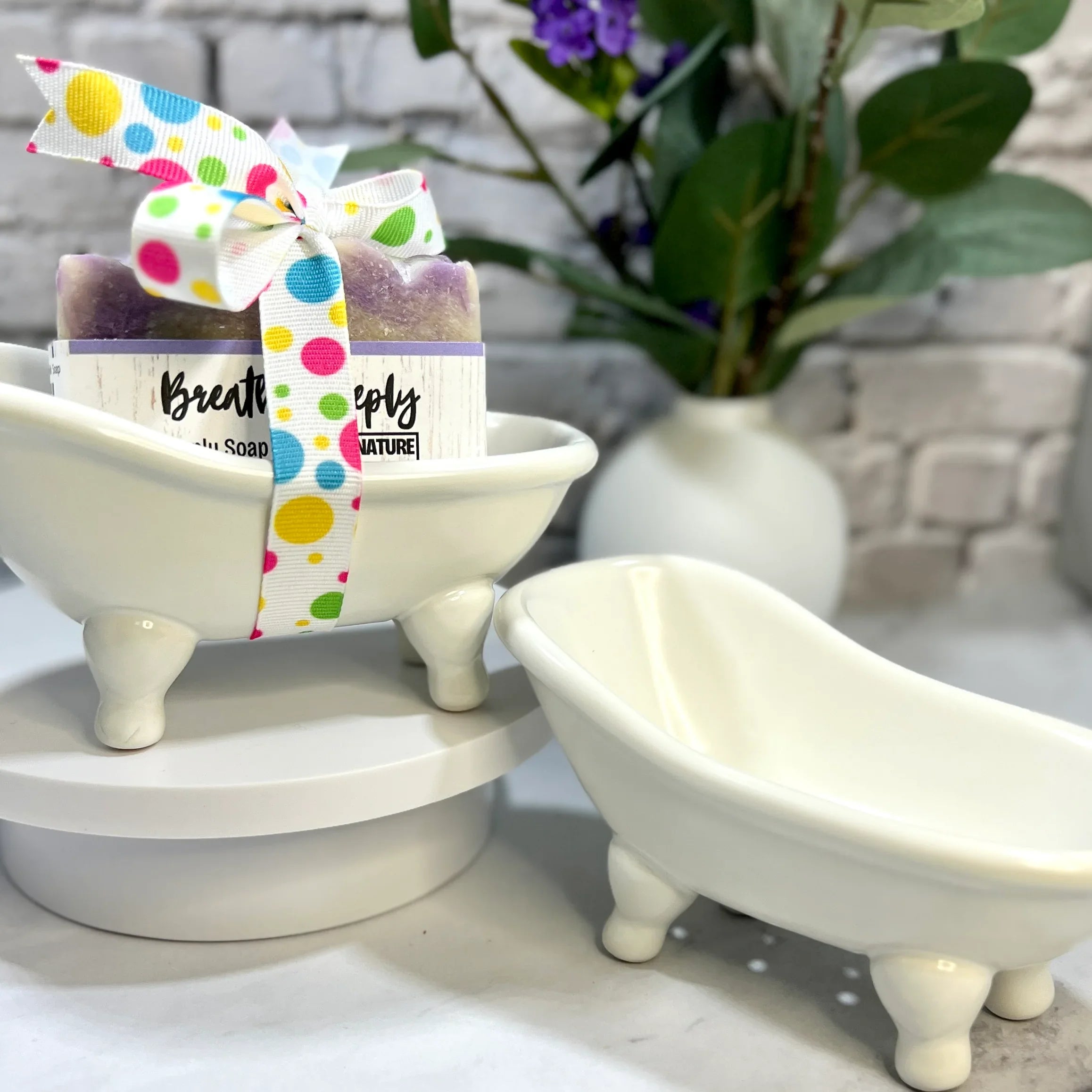 Dr. Soaper Soap Dish