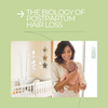 Postpartum Hair Loss booklet Cover in English