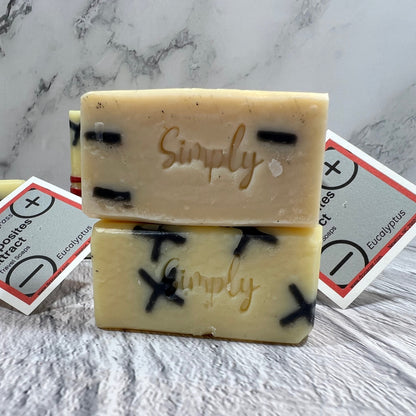 Opposites Attract Travel / Guest Soap Set of 2 in Eucalyptus and Lemongrass